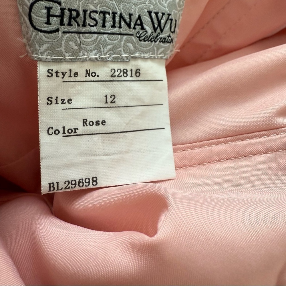 Christina Wu Rose Chiffon Formal Dress Size 12 | Bridesmaid Wedding Guest - Picture 7 of 15